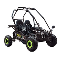 Foto Buggy NCX FX-250